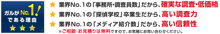 ガルがNO.1である理由